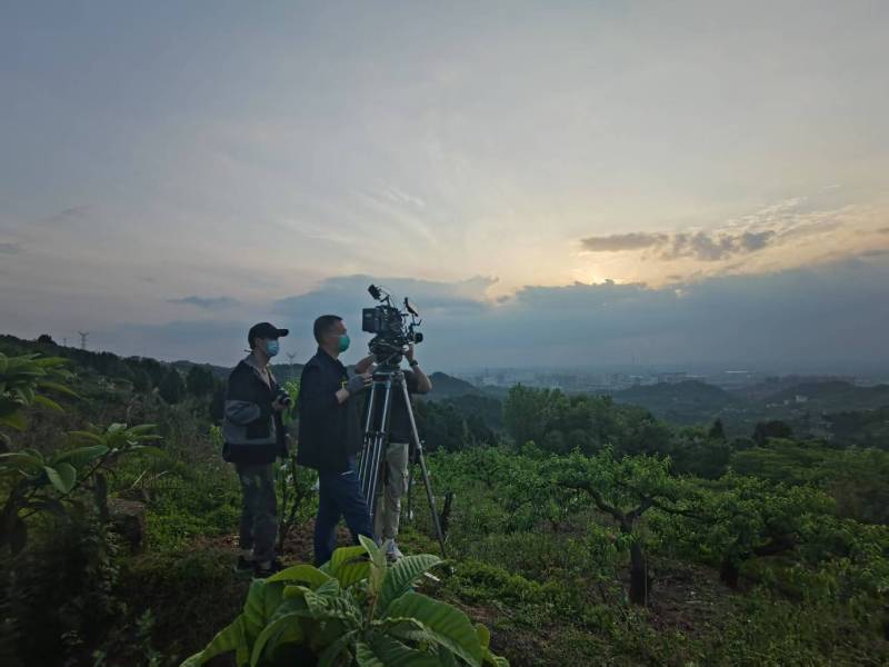 创意破圈！池州电商产品宣传视频用故事化叙事引爆流量
