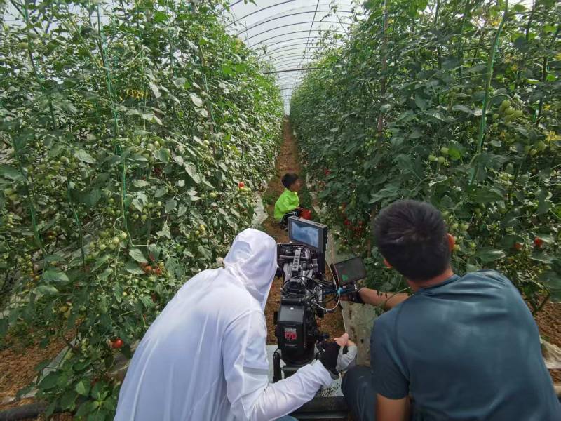 池州产品宣传视频拍摄公司进阶指南，助力品牌抢占传播高地